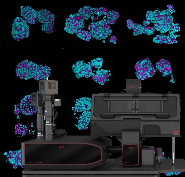 Fast and complex biological dynamics resolved in 3D with standard ...